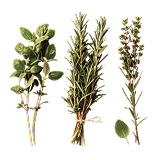 herb
